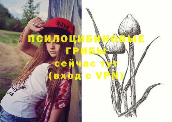 мет Михайловск