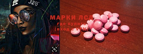 сатива Надым