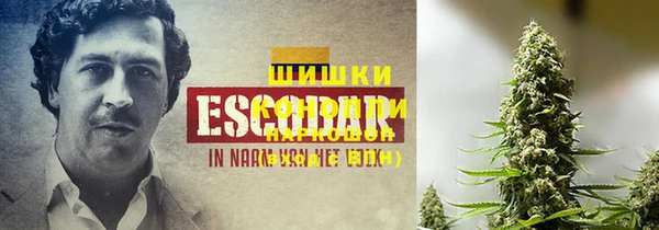 альфа пвп Новочеркасск