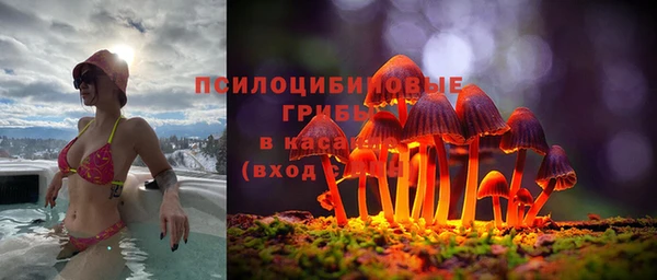 PSILOCYBIN Мегион