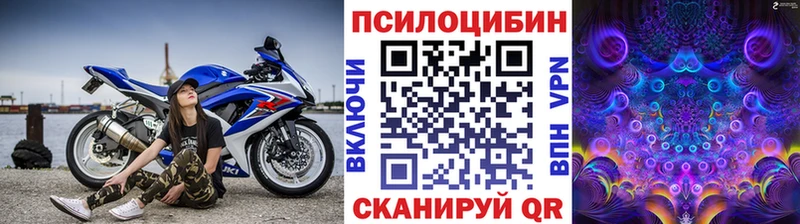где купить наркоту  ссылка на мегу зеркало  Псилоцибиновые грибы Psilocybine cubensis  Навашино 